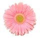 Pink Gerbera Flower Wall Decal