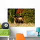 Bugling Elk Wall Mural