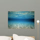 Surface Reflex Wall Mural