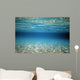 Surface Reflex Wall Mural