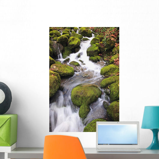 Happy Valley, Oregon Of America Wall Mural