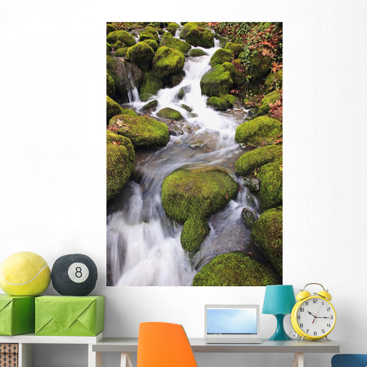 Happy Valley, Oregon Of America Wall Mural