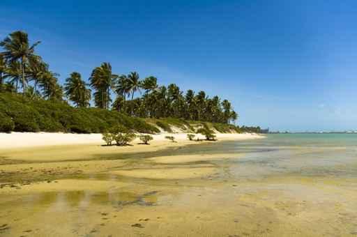 Paradise Beach Wall Decal Design 2