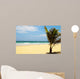 Carribean Beach with Palm