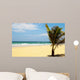 Carribean Beach with Palm
