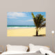 Carribean Beach with Palm