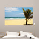 Carribean Beach with Palm