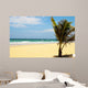 Carribean Beach with Palm