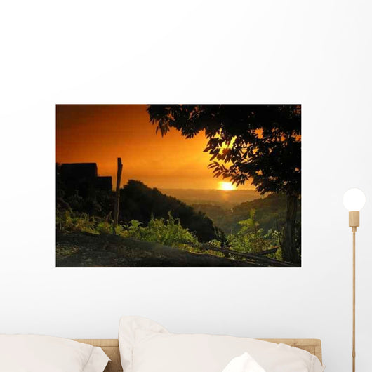 Castaniccia Corniche Wall Decal