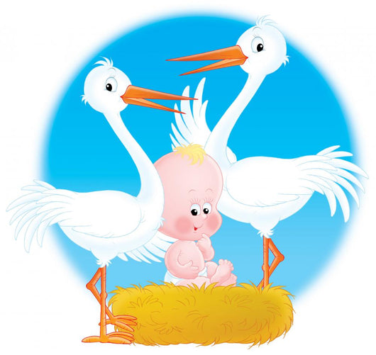 baby nestling Wall Mural