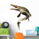 Mosasaurus Aquatic Dinosaur Wall Decal