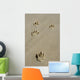 Hundespuren am Strand Wall Mural
