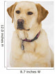 Golden Labrador Retriever Dog Wall Mural