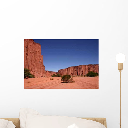 Canion Talampaya Wall Decal