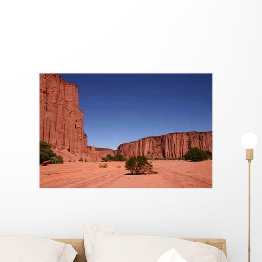 Canion Talampaya Wall Decal