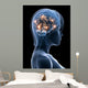Transparent Head with Active Wall Mural