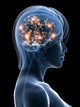 Transparent Head with Active Wall Mural