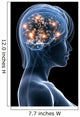 Transparent Head with Active Wall Mural