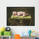 A Baby Asleep On A Pillar Wall Mural