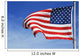 The American Flag Wall Mural