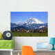 Mt. Rainier viewed from across a field Wall Mural
