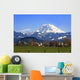 Mt. Rainier viewed from across a field Wall Mural
