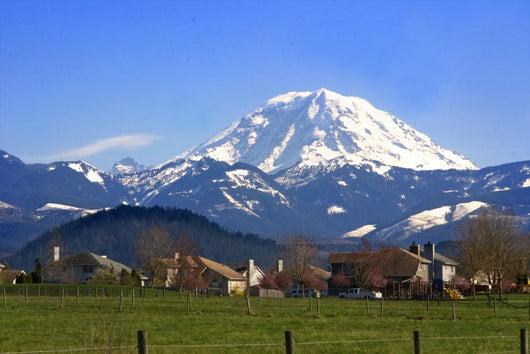 Mt. Rainier viewed from across a field Wall Mural