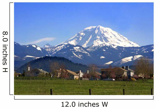 Mt. Rainier viewed from across a field Wall Mural