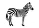 Zebra Wall Decal