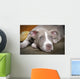 Rare Champagne Pit Bull Wall Mural