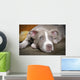 Rare Champagne Pit Bull Wall Mural