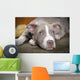 Rare Champagne Pit Bull Wall Mural