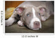 Rare Champagne Pit Bull Wall Mural