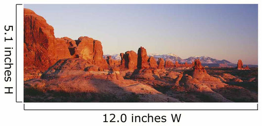 Utah America Wall Mural
