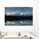 Alaska Of America Wall Mural