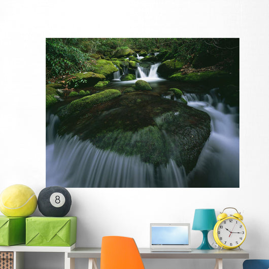 Tennessee Of America Wall Mural
