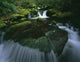 Tennessee Of America Wall Mural