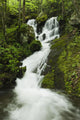 Tennessee Of America Wall Mural