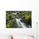 Tennessee Of America Wall Mural