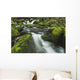 Tennessee Of America Wall Mural