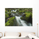 Tennessee Of America Wall Mural