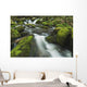 Tennessee Of America Wall Mural