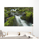 Tennessee Of America Wall Mural