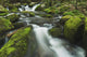 Tennessee Of America Wall Mural