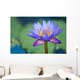 A Lotus Flower Wall Mural