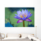 A Lotus Flower Wall Mural