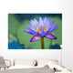 A Lotus Flower Wall Mural