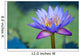 A Lotus Flower Wall Mural