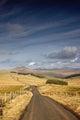 Northumberland, England Wall Mural