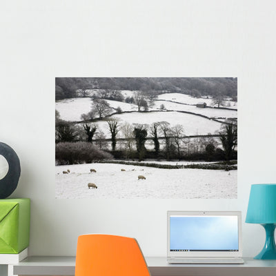 Derwent Valley Derbyshire England Wall Mural shown on a wall